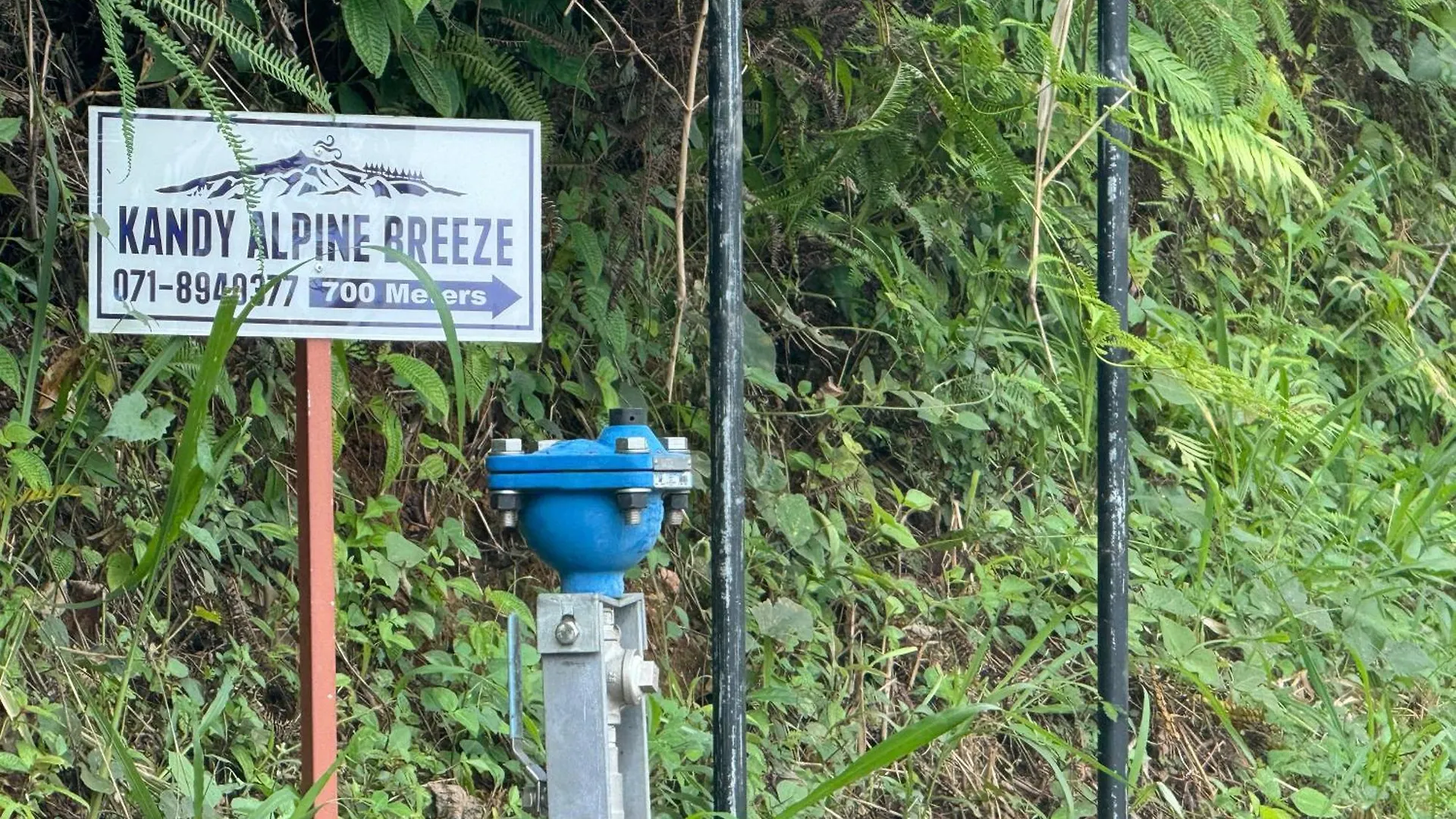 Kandy Alpine Breeze Bed & Breakfast